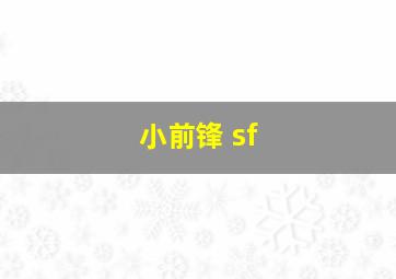 小前锋 sf